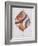 Wood Inlay Leaf 2-Filippo Ioco-Framed Art Print