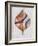 Wood Inlay Leaf 2-Filippo Ioco-Framed Art Print