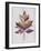 Wood Inlay Leaf 3-Filippo Ioco-Framed Art Print