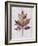 Wood Inlay Leaf 3-Filippo Ioco-Framed Art Print