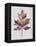 Wood Inlay Leaf 3-Filippo Ioco-Framed Stretched Canvas