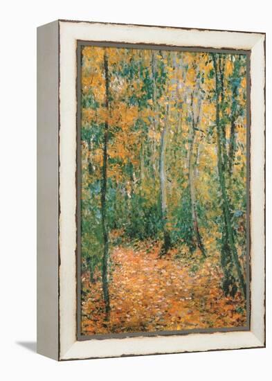 Wood Lane-Claude Monet-Framed Stretched Canvas