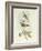 Wood Lark (Lullula Arborea)-John Gould-Framed Giclee Print