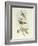 Wood Lark (Lullula Arborea)-John Gould-Framed Giclee Print