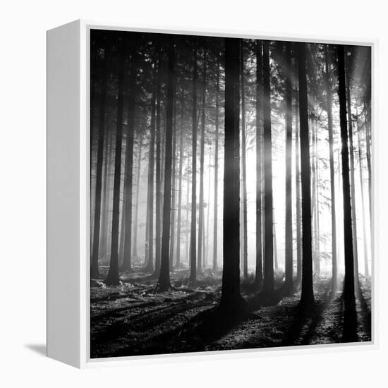 Wood Light-null-Framed Premier Image Canvas