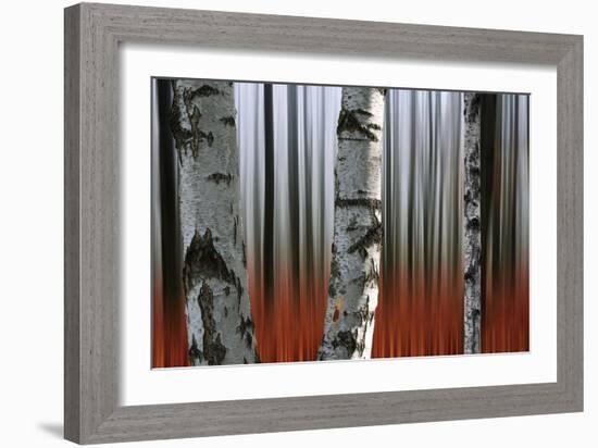 Wood Of Fall-Andre Villeneuve-Framed Photographic Print