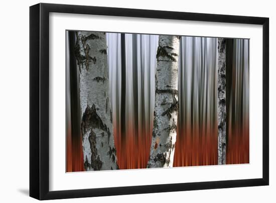 Wood Of Fall-Andre Villeneuve-Framed Photographic Print