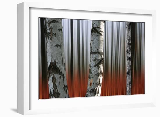 Wood Of Fall-Andre Villeneuve-Framed Photographic Print