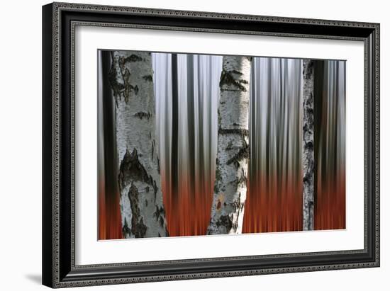 Wood Of Fall-Andre Villeneuve-Framed Photographic Print