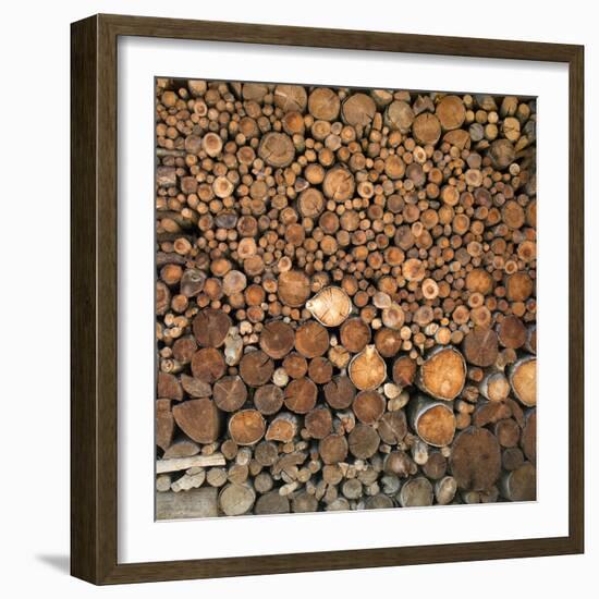 Wood Pile in the Walser Village of Grimentz, Valais, Swiss Alps, Switzerland, Europe-Angelo Cavalli-Framed Photographic Print