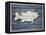 Wood Sea Bass, 2024-Tim Ashwood-Framed Stretched Canvas