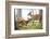 Wood, Sika Deere-Reiner Bernhardt-Framed Photographic Print