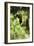 Wood-Sprite, 1892-Anders Leonard Zorn-Framed Giclee Print