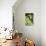 Wood-Sprite-Anders Leonard Zorn-Giclee Print displayed on a wall