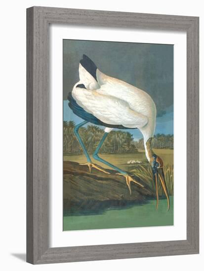 Wood Stork-John James Audubon-Framed Art Print