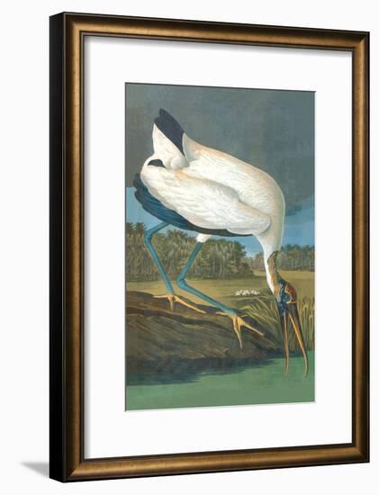 Wood Stork-John James Audubon-Framed Art Print