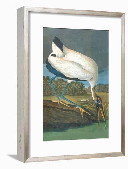 Wood Stork-John James Audubon-Framed Art Print