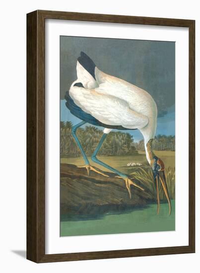 Wood Stork-John James Audubon-Framed Art Print