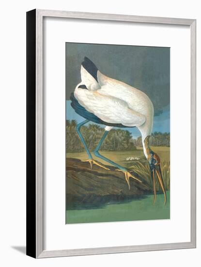 Wood Stork-John James Audubon-Framed Art Print