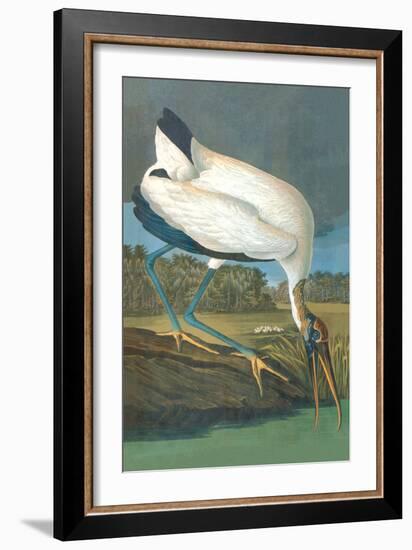 Wood Stork-John James Audubon-Framed Art Print