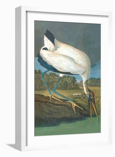 Wood Stork-John James Audubon-Framed Art Print