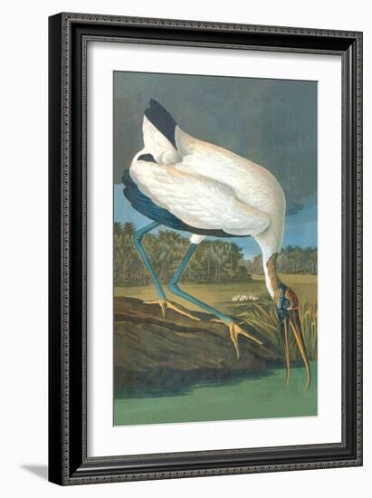 Wood Stork-John James Audubon-Framed Art Print