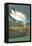 Wood Stork-John James Audubon-Framed Stretched Canvas