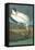 Wood Stork-John James Audubon-Framed Stretched Canvas