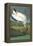 Wood Stork-John James Audubon-Framed Stretched Canvas