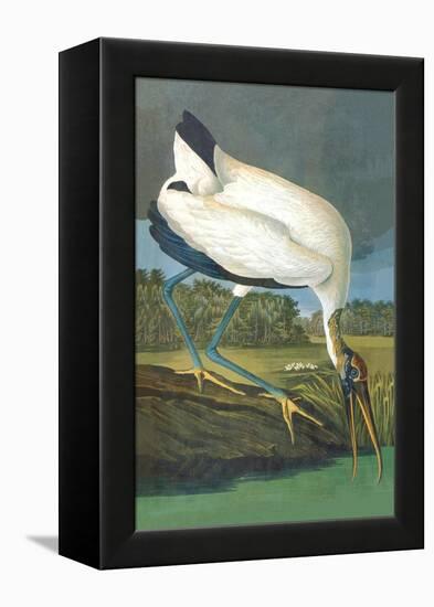 Wood Stork-John James Audubon-Framed Stretched Canvas