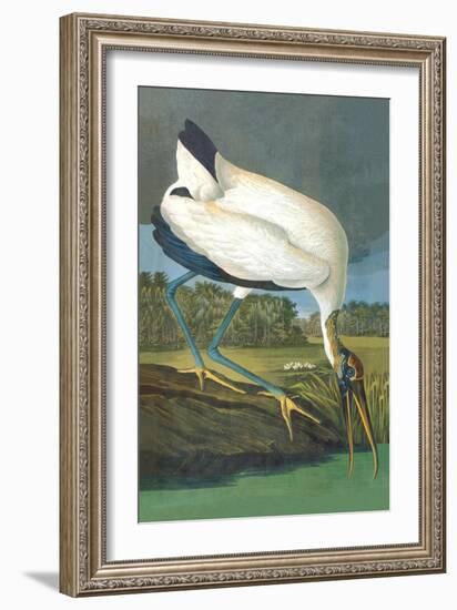 Wood Stork-John James Audubon-Framed Art Print