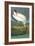 Wood Stork-John James Audubon-Framed Art Print