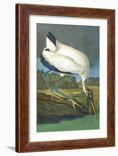 Wood Stork-John James Audubon-Framed Art Print