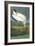 Wood Stork-John James Audubon-Framed Art Print