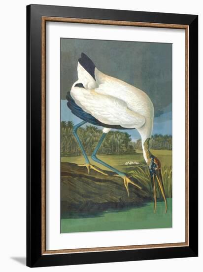 Wood Stork-John James Audubon-Framed Art Print