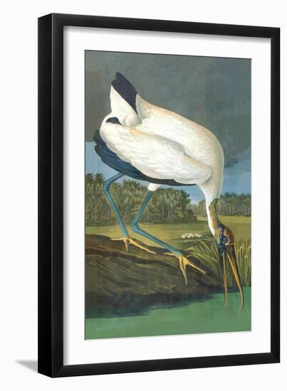 Wood Stork-John James Audubon-Framed Art Print