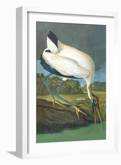 Wood Stork-John James Audubon-Framed Art Print