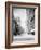 Wood Street, Pittsburg, Pa.-null-Framed Photo