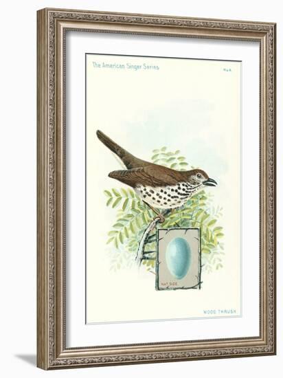 Wood Thrush and Egg-null-Framed Art Print