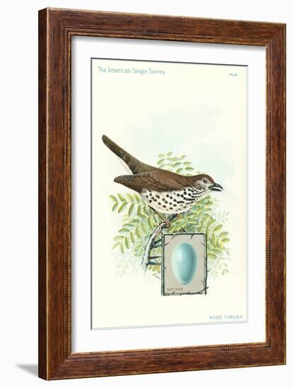Wood Thrush and Egg-null-Framed Art Print