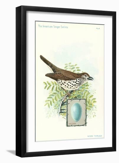 Wood Thrush and Egg-null-Framed Art Print