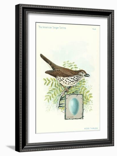 Wood Thrush and Egg-null-Framed Art Print