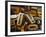 Wood Types-Martin Paul-Framed Photographic Print