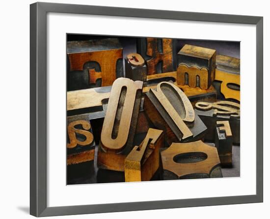 Wood Types-Martin Paul-Framed Photographic Print