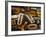 Wood Types-Martin Paul-Framed Photographic Print