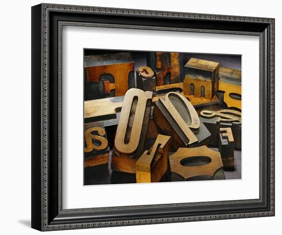 Wood Types-Martin Paul-Framed Photographic Print