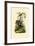 Wood Warbler, 1833-39-null-Framed Giclee Print