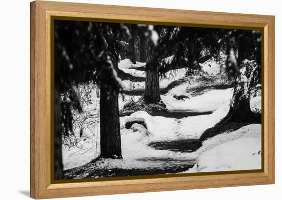 Wood, way, trees-Jule Leibnitz-Framed Premier Image Canvas