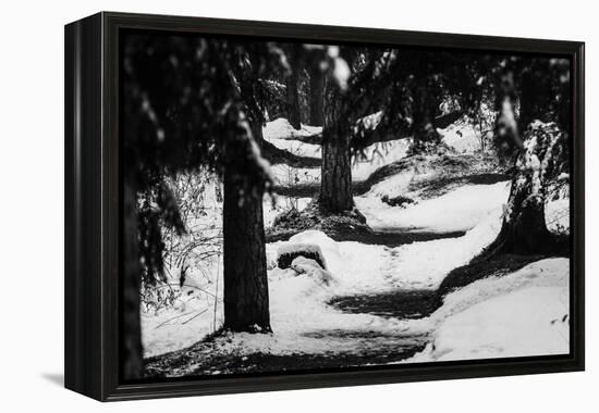 Wood, way, trees-Jule Leibnitz-Framed Premier Image Canvas