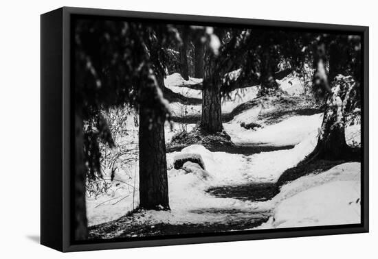 Wood, way, trees-Jule Leibnitz-Framed Premier Image Canvas